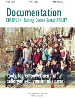 Tools for empowerment of selforganised youth collectives