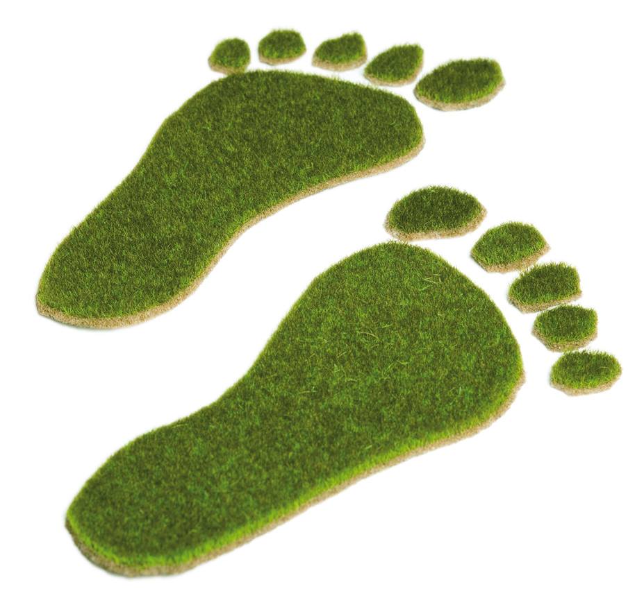 SALTO-YOUTH - Otlas - ''GREEN FOOTPRINTS''